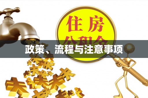 淮阴政策、流程与注意事项